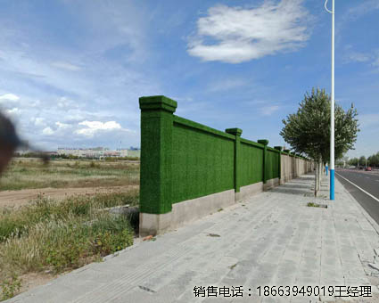 广西墙面草坪固定厂家发货