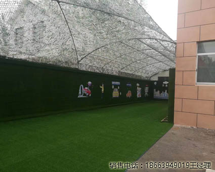广西墙面草坪固定厂家发货