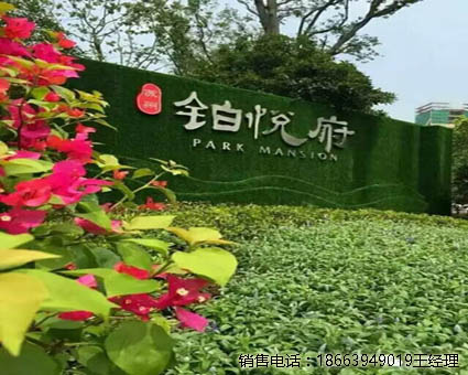 永州墙壁绿植草坪安装简单