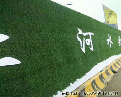 海北草坪工地围挡用用什么草好