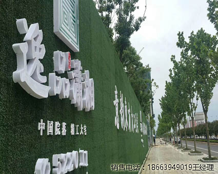 假草坪墙面怎么(泰安工厂)多少一米