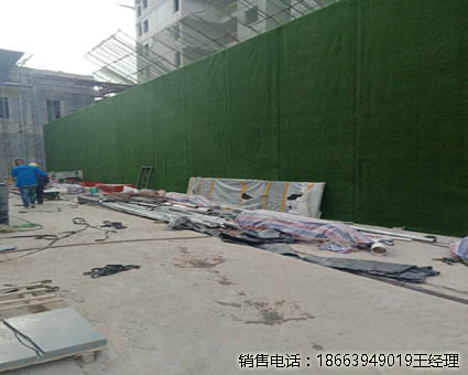 海北草坪工地围挡用用什么草好