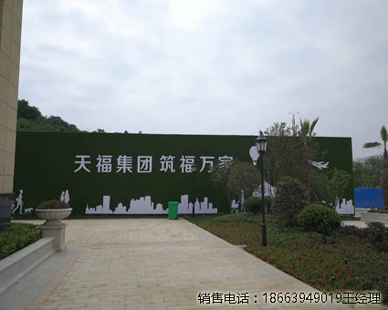 假草坪墙面怎么(泰安工厂)多少一米