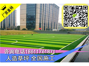 人造草坪操场施工河北保定装饰假草厂家&nbsp;&nbsp;河北保定人造草坪