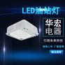 NFC9105 LED防爆泛光灯,100wLED油站灯