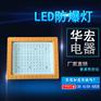 BFC8186 LED防爆泛光灯 LED防爆灯led防爆路灯