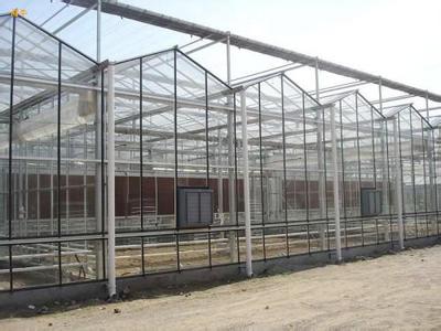 西藏新型智能温室-山东有口碑的新型智能温 新型智能温室工程建造