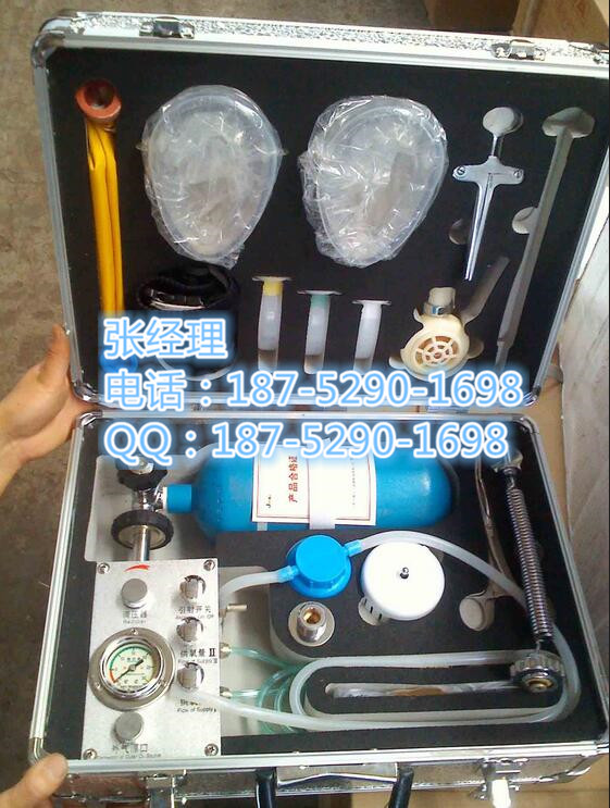 MZS30氧气苏生器 自动苏生器  MZS30苏生器