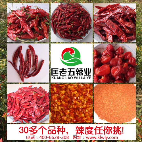 湖南辣王批发,猛辣型干辣椒批发-匡老五辣业