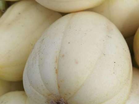 佳木斯生物有机肥-价格合理的有机水果供应