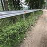 广东河源三波护栏板 韶关公路防撞护栏价格