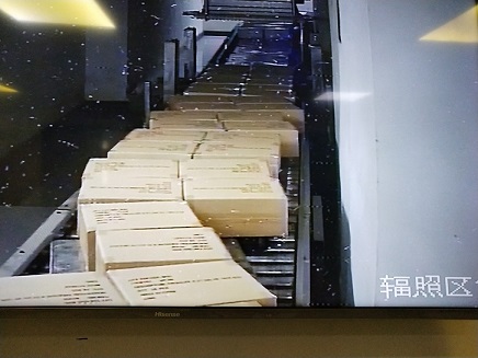 玩具消毒灭菌荐绿色环保的电子射线免拆箱灭菌  玩具灭菌  电子射线灭菌