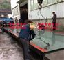 大角牛优质保证,称重软件在哪能买到张家批发价格出售