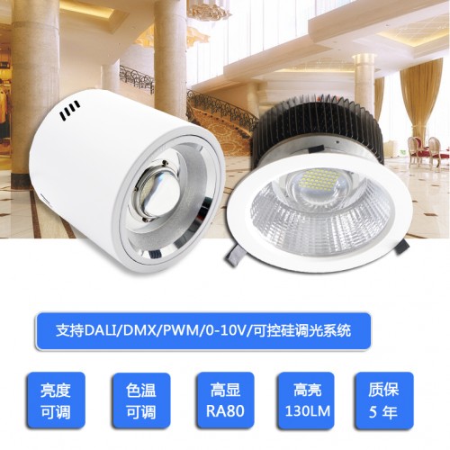 60W80WLED嵌入式筒灯120W  外露式筒灯  雨棚筒灯