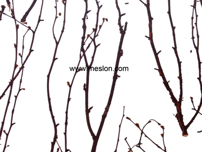 为您推荐美斯乐家居装饰品质好的生态树脂板  便宜的生态树脂板