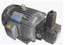 三相电机卧式1HP-4P-20L（4孔）