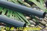 新型90给水管铺设技术要求