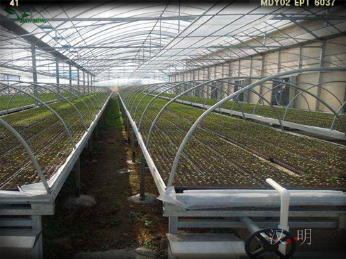 缅怀英雄，汉明温室苗床公司向可爱的逆行者致敬！  凉山温室苗床