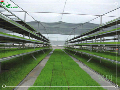 悲痛！凉山火灾牺牲人员名单公布@汉明农业苗床公司  农业苗床厂家