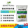 凝结芽孢杆菌降低肠道pH值促进吸收养殖饲料添加菌抑制有害菌生