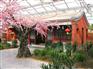 生态餐厅建造-山东生态餐厅造价