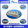 原装西门康SKM300GB123D功率IGBT模块原装现货
