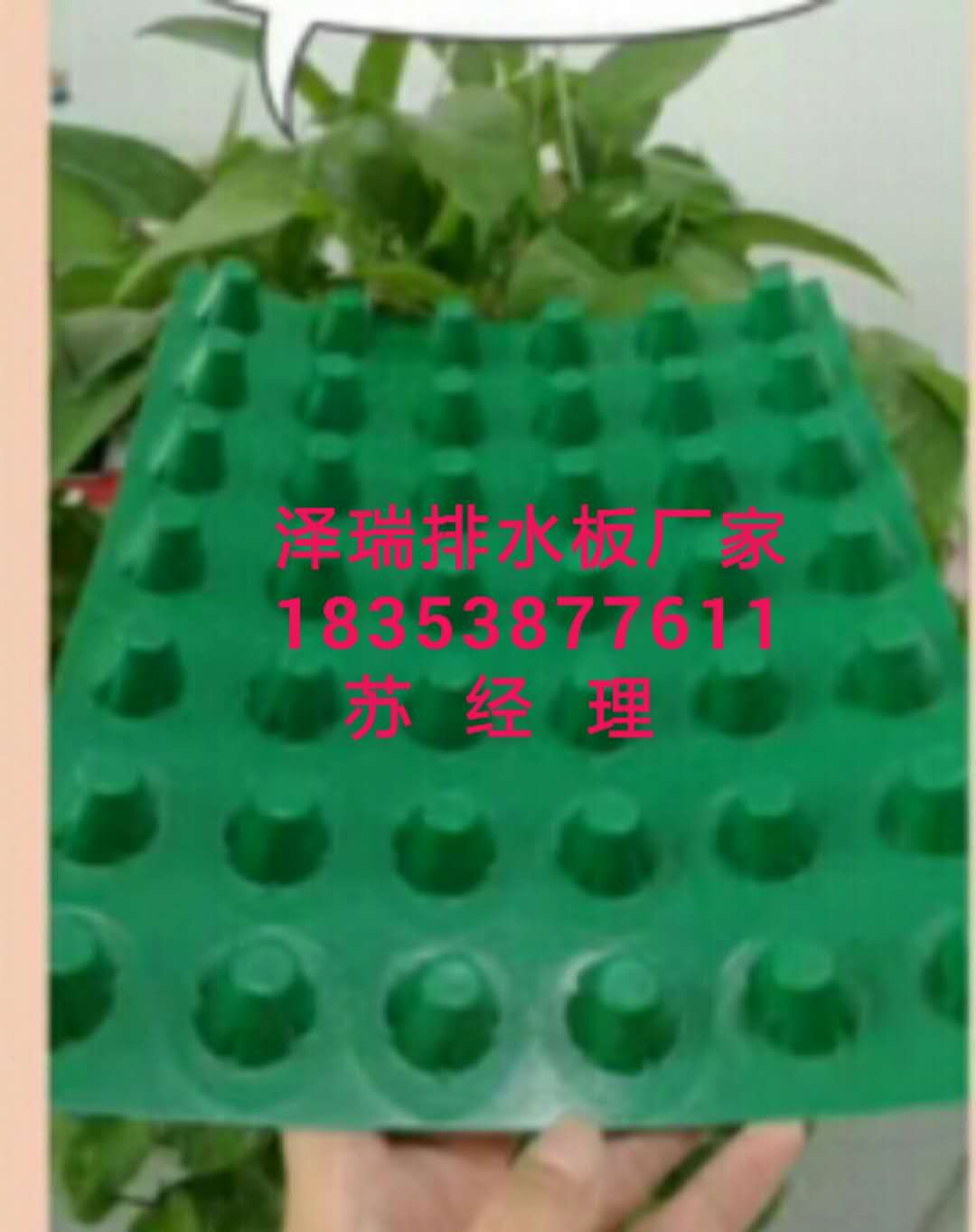 供应《昆山车库绿化隔根板》20高蓄排水板厂家&nbsp;&nbsp;昆山车库隔根板&nbsp;&nbsp;昆山绿化蓄排水板&nbsp;&nbsp;昆山20高蓄排水板