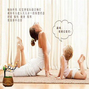 瑜伽伴侣幻宝香氛仙韵古梅灯LED创意灯饰浪漫摆件  幻宝香氛仙韵灯