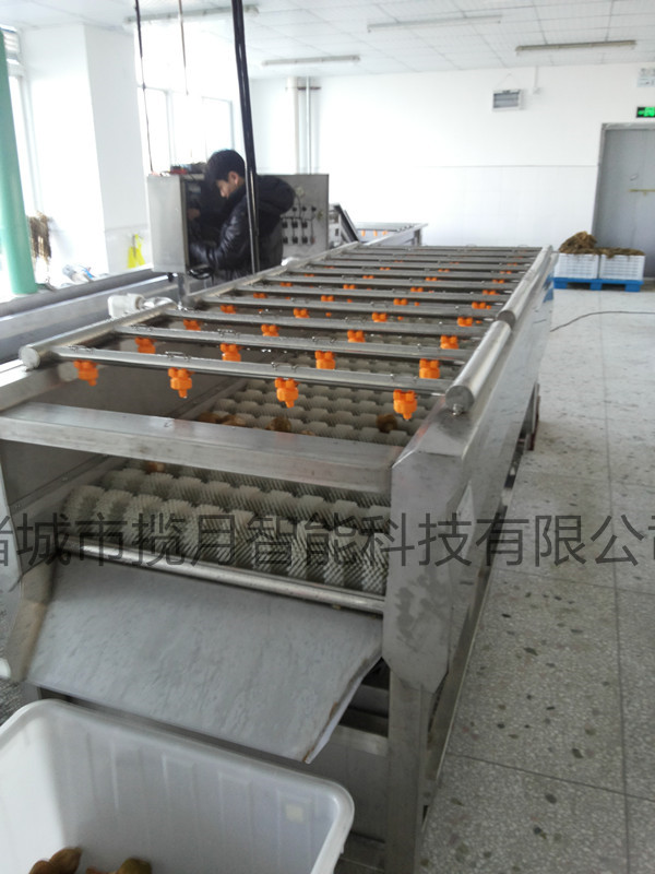 全自动果蔬毛刷去皮清洗机 根茎类果蔬去皮清洗设备