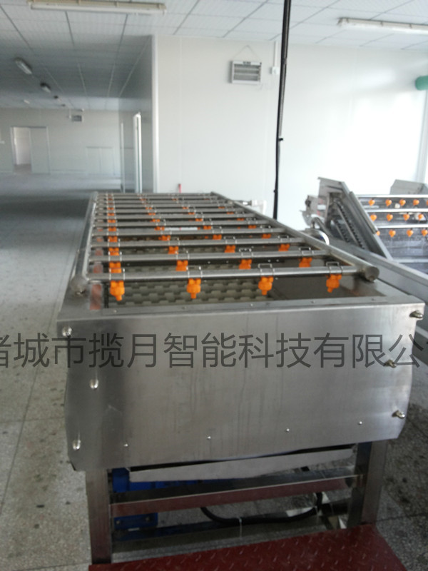 全自动果蔬毛刷去皮清洗机 根茎类果蔬去皮清洗设备