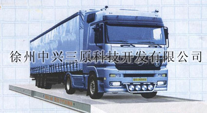 SCS S-I数字式汽车衡
