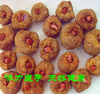 供应食品级魔芋胶  魔芋胶添加量  魔芋胶规格  魔芋胶作用