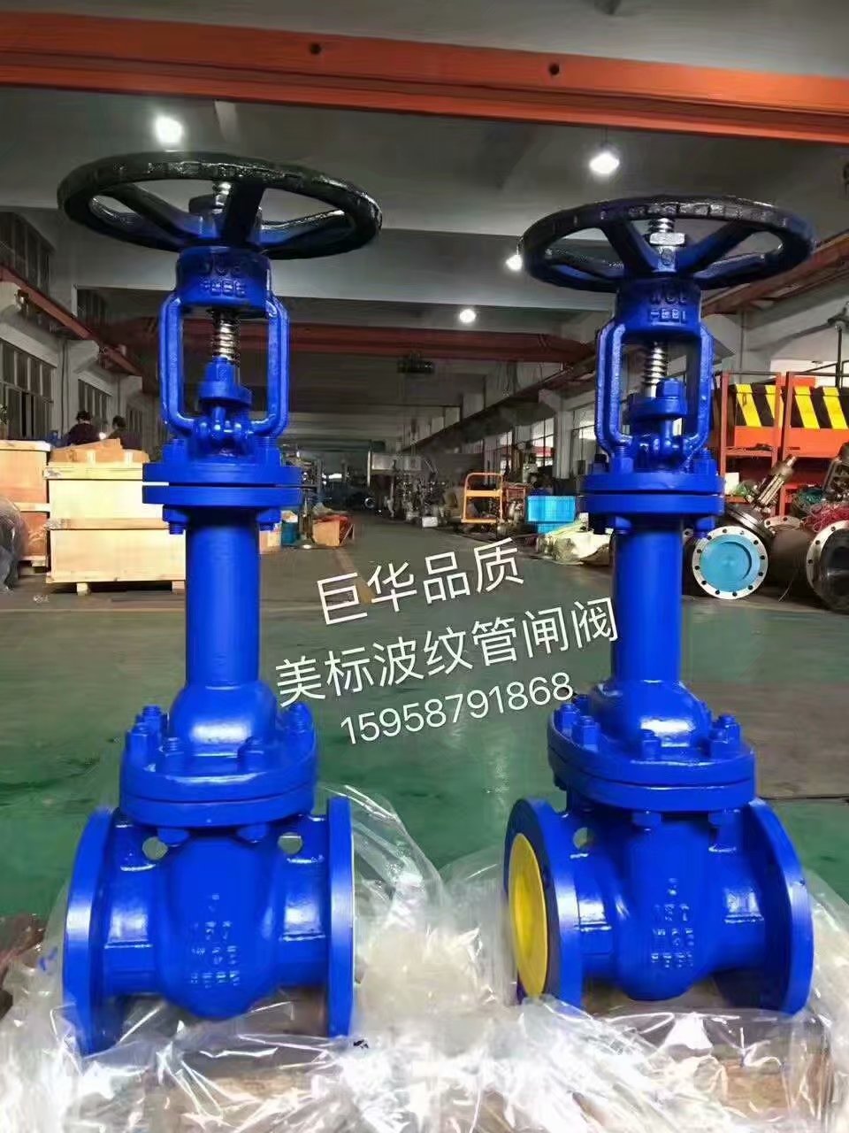 厂家提供波纹管闸阀WZ41H-16C-DN150