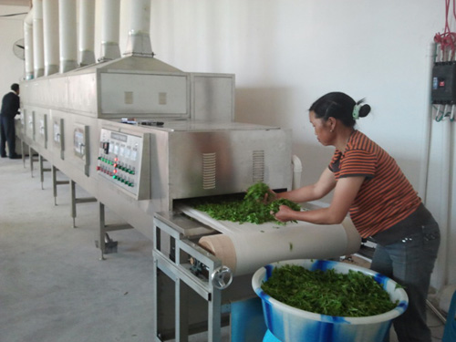 广州科威微波杀青机质量怎么样  微波加热机  微波干燥机