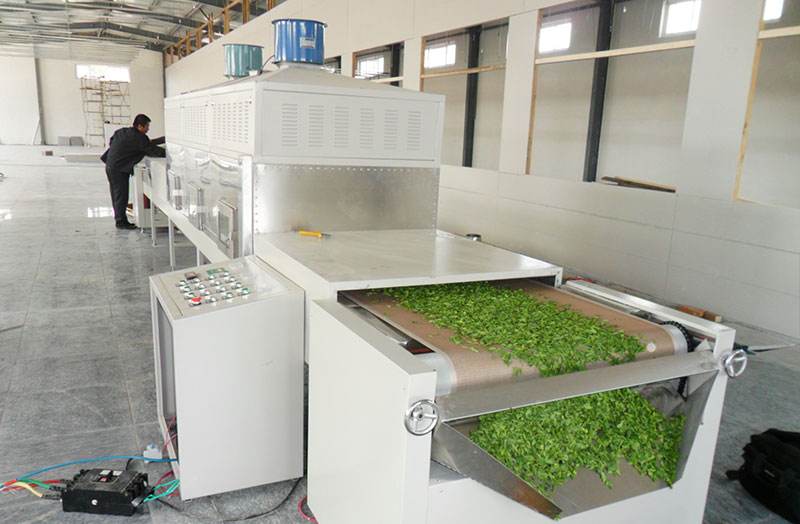 茶叶微波杀青机选广州科威微波能有限公司生产  茶叶杀青机