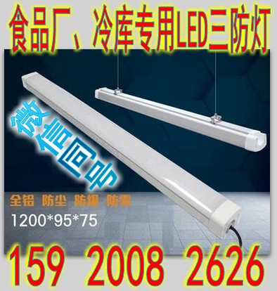 专业冷库灯生产厂家
