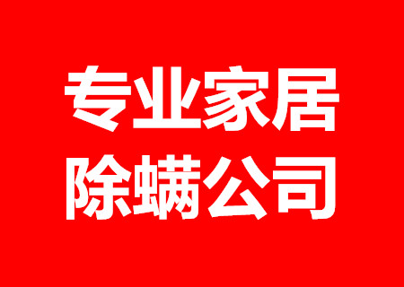 全屋家电清洗服务 家居除螨 开荒保洁 公司托管保洁  东莞家政  保洁公司