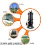 天津产大型污水泵  排污泵