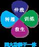 体育场馆水下运动影像采集系统