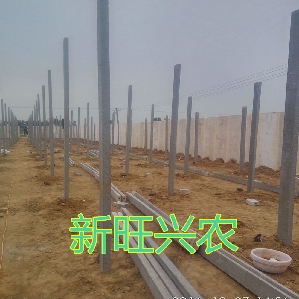 养殖大棚搭建&nbsp;&nbsp;鸡舍大棚&nbsp;&nbsp;钢架大棚