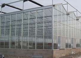 河北温室大棚-去哪找称心的玻璃温室大棚建&nbsp;&nbsp;玻璃温室大棚建造