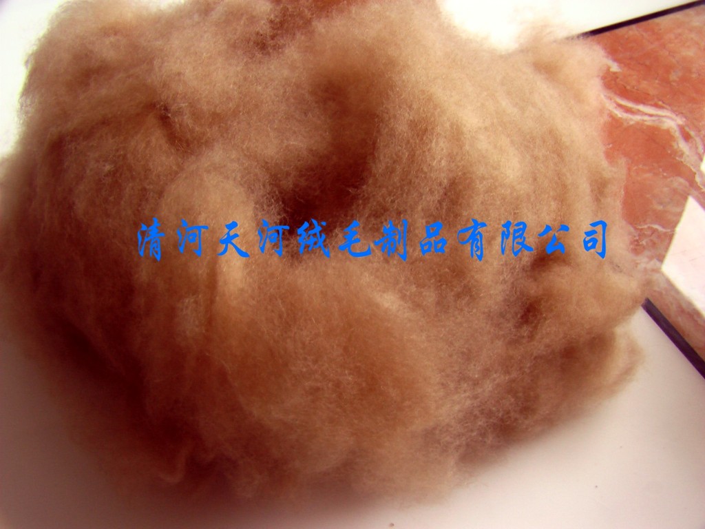 驼绒絮片厂家行情|河北有品质的河北驼绒絮  河北驼绒絮片厂家