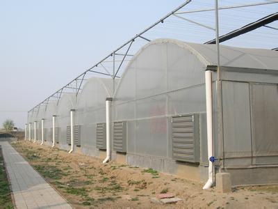 智能连栋温室工程行情-潍坊连栋温室工程建 连栋温室工程建造