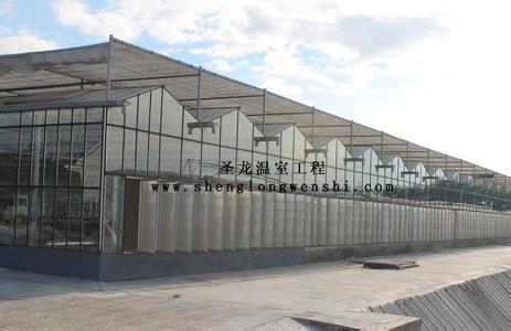 江苏连栋温室_放心的连栋温室工程建造上哪
