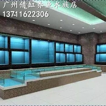广州海水海鲜鱼池价格，广州怎么设计酒店海鲜海水鱼池  广州海鲜池价格  怎么设计酒店鱼池  广州酒店海鲜池