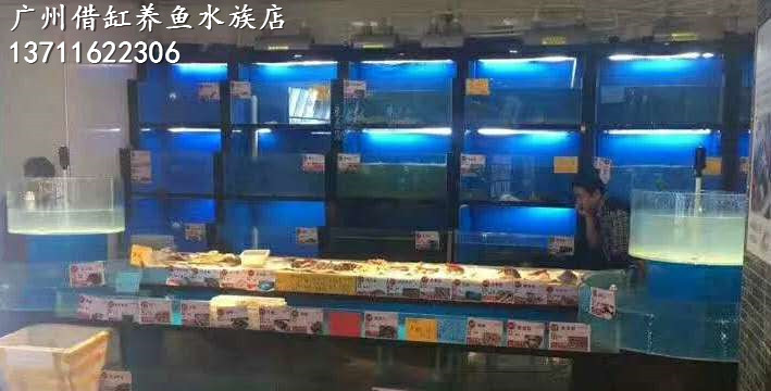 广州海水海鲜鱼池价格，广州怎么设计酒店海鲜海水鱼池  广州海鲜池价格  怎么设计酒店鱼池  广州酒店海鲜池