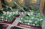 战争之神155自行火炮模型批发哪里好，济