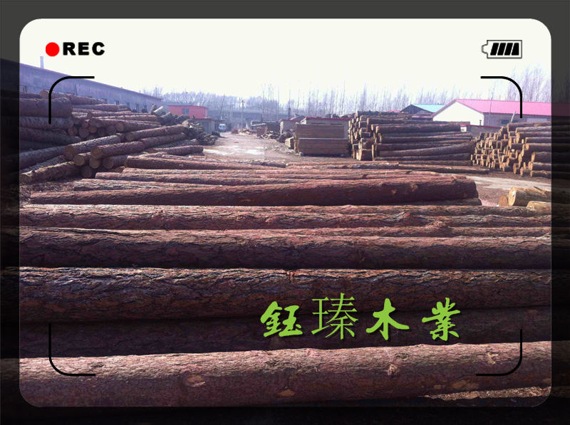 供应沈阳建筑用木方