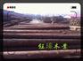 白山木方批发价格