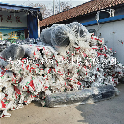 供应农用遮阳网 全新料生产 70-75%遮阳率  平织遮阳网  蔬菜专用遮阳网